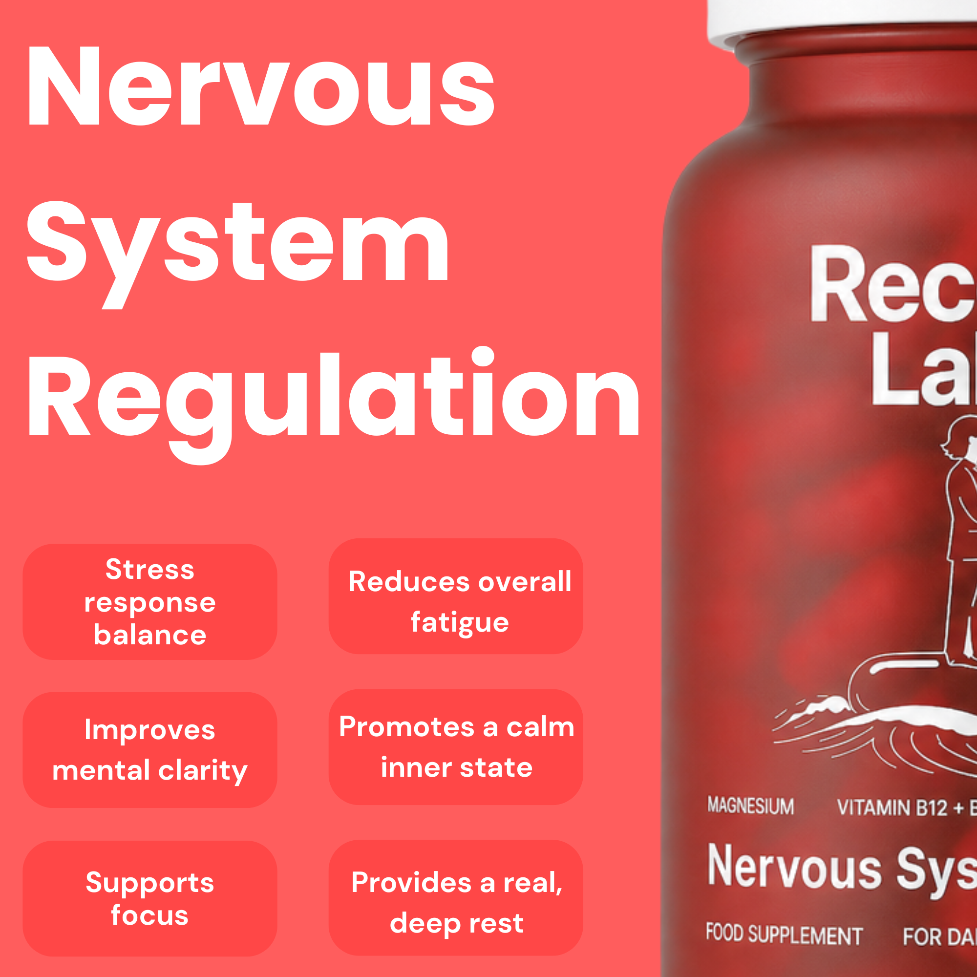 Nervous System Support